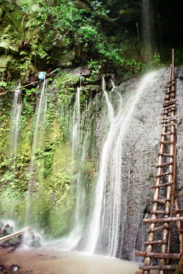 �|�c�E�킫���̗�
(620�~930pixel,232.3KB)