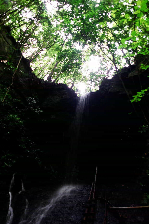 �|�c�E�킫���̗�
(620�~930pixel,151.8KB)