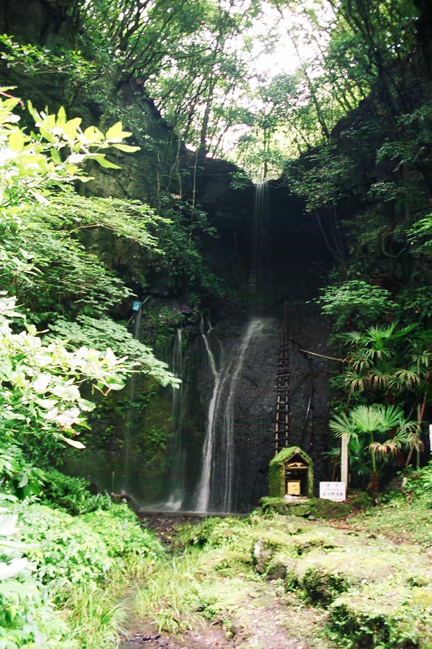 �|�c�E�킫���̗�
(620�~930pixel,244.4KB)