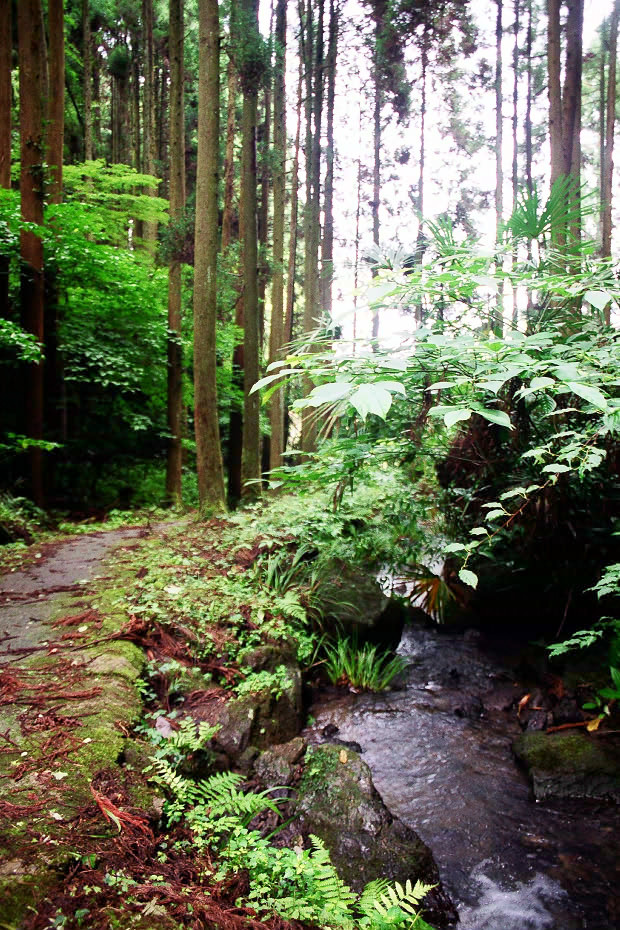 �|�c�E�킫���̗�
(620�~930pixel,274.9KB)