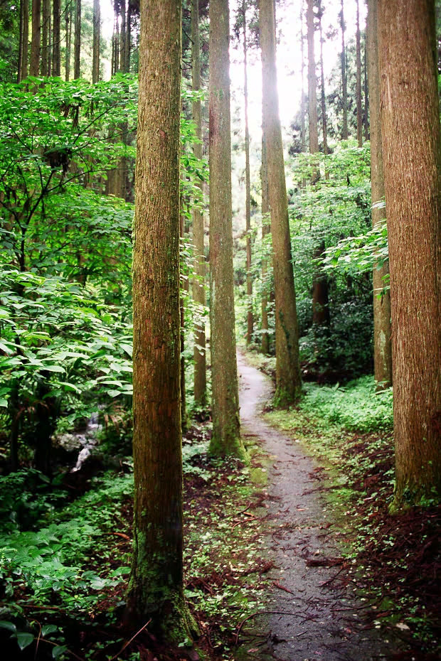 �|�c�E�킫���̗�
(620�~930pixel,289.3KB)