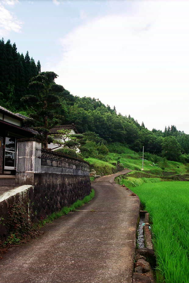 �|�c�E�킫���̗�
(620�~930pixel,162.4KB)