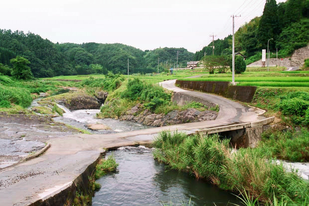 �|�c�E�킫���̗�
(620�~413pixel,99.9KB)