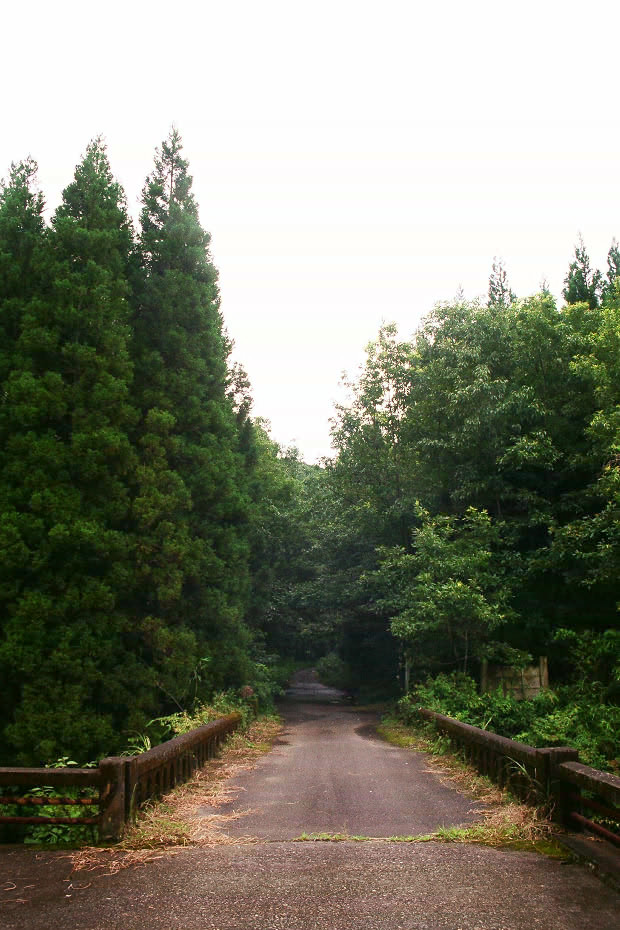 �|�c�E�킫���̗�
(620�~930pixel,154.2KB)