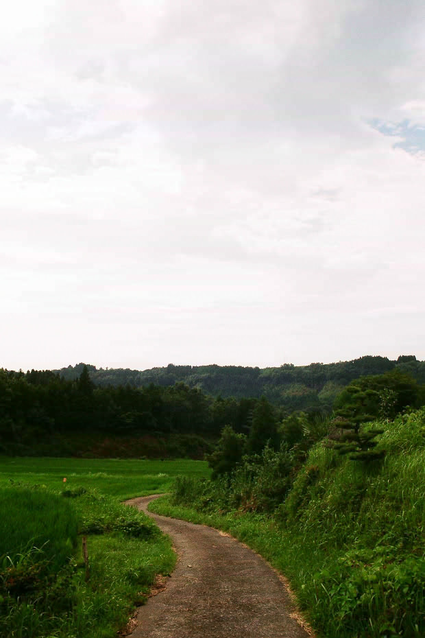 �|�c�E�킫���̗�
(620�~930pixel,91.3KB)