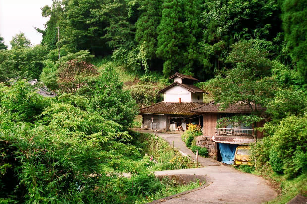 �|�c�E�킫���̗�
(620�~413pixel,135.5KB)