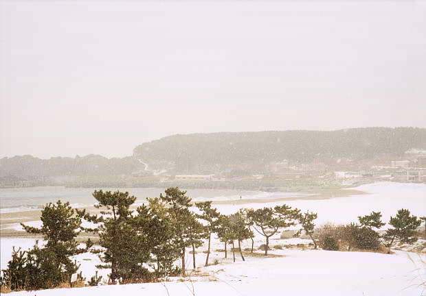 ����
(620�~432pixel,31.4KB)