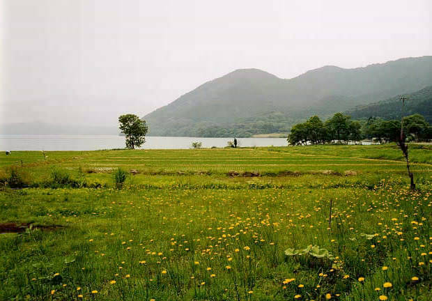 �c���
(620�~432pixel,51.1KB)