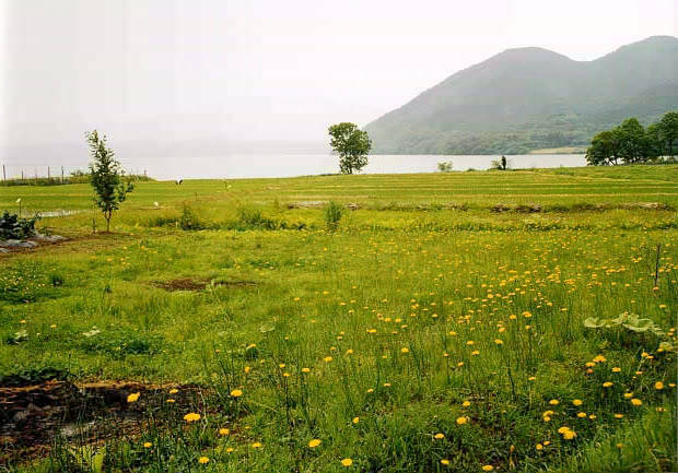田沢湖
(620×433pixel,60.6KB)