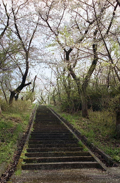 ��֌���
(406�~620pixel,106.1KB)