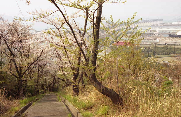 ��֌���
(620�~402pixel,90.3KB)