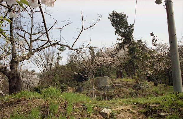 ��֌���
(620�~404pixel,81.7KB)