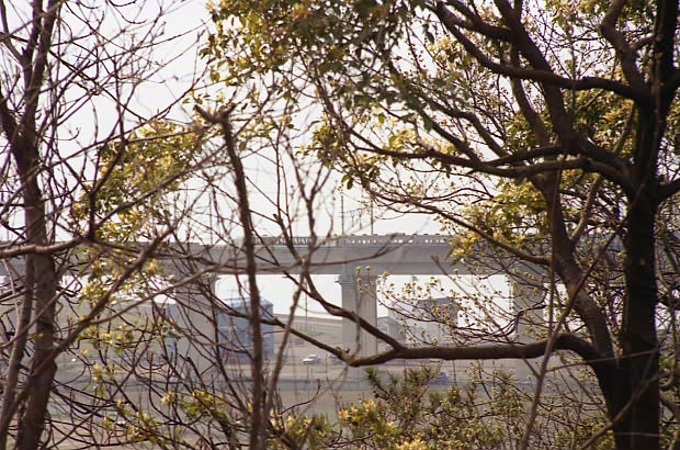 ��֌���
(620�~410pixel,104.2KB)