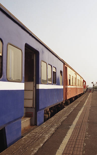 ��p�S�H�E�ĉ�
(391�~620pixel,34.3KB)