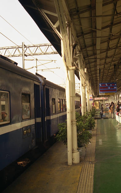 ��p�S�H�E�ĉ�
(388�~620pixel,43.2KB)