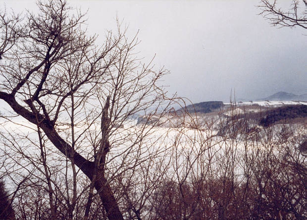 �E�g��
(620�~446pixel,78.2KB)