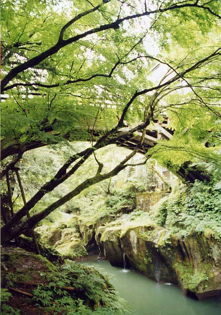 �R������E��
(434�~620pixel,81.4KB)