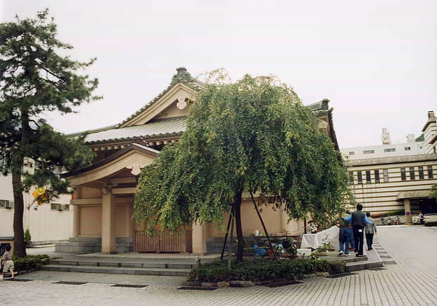 �R������E��
(620�~434pixel,53.0KB)