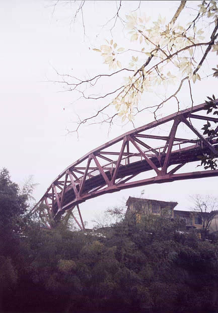 �R������E�~
(433�~620pixel,43.9KB)